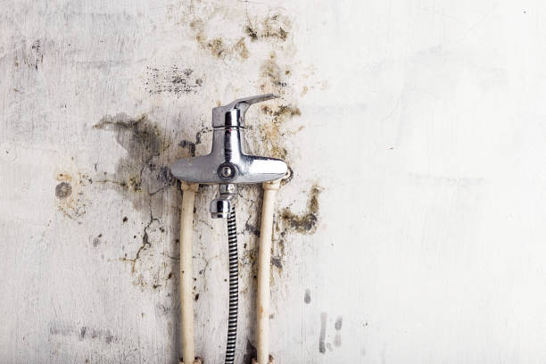 Best Mold Remediation for Specific Building Types in Country Lake Estates, NJ